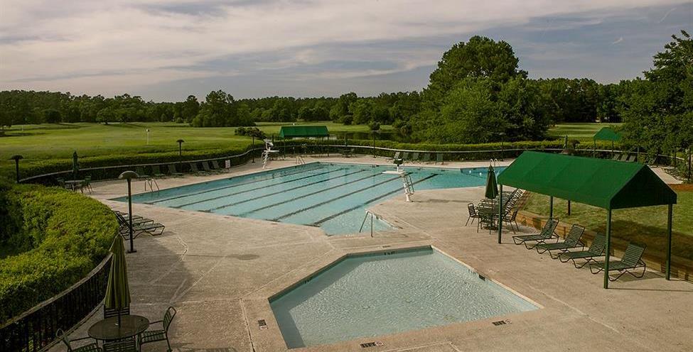 The_Pool